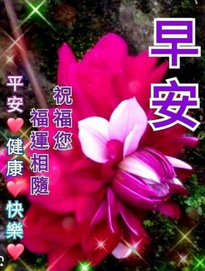 朋友們早，
祝願健康
快樂！...