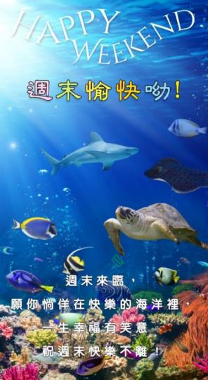 浸泡在快樂
的海洋！...