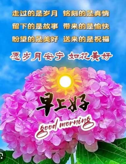 幸福愉快，
朋友早！...