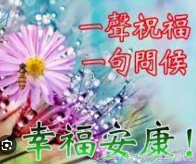 幸福安康，
朋友午安！...