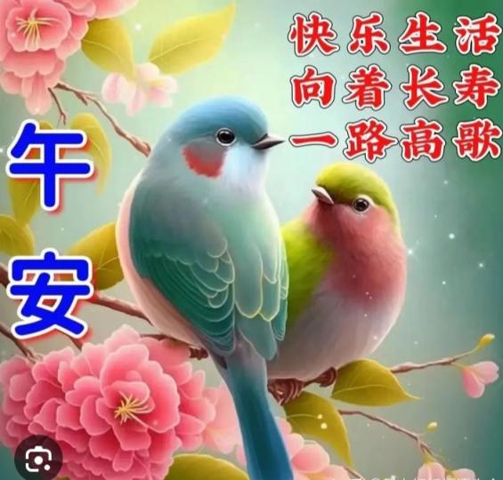 快樂高歌，
朋友午安！...