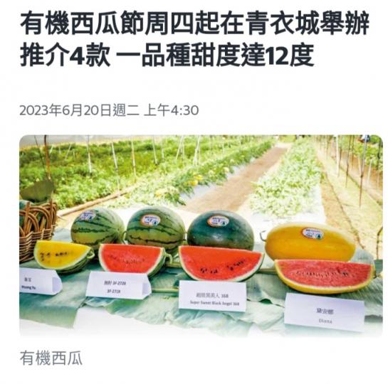 夏天水果，
西瓜真清涼！...