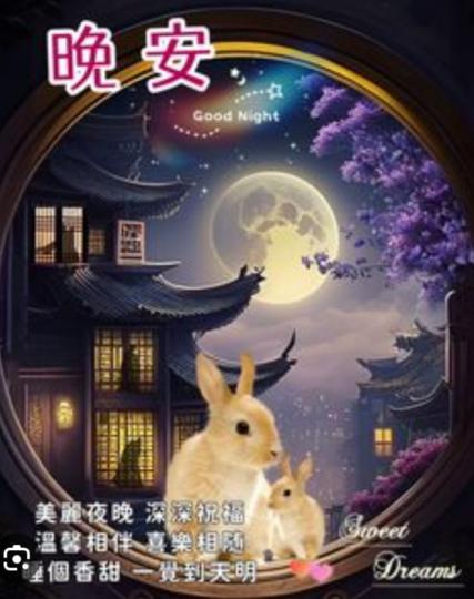 美麗夜晚，
朋友晚安！...