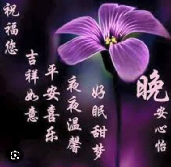平安喜樂，
晚安如意！...