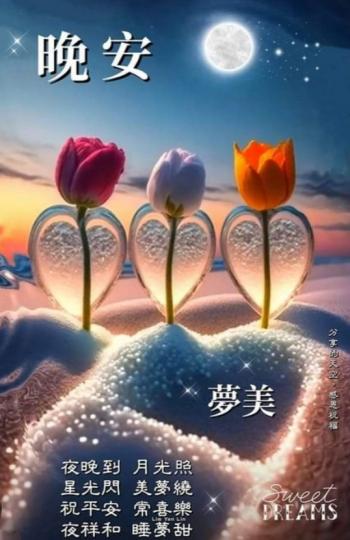 星光閃照，
晚安朋友！...