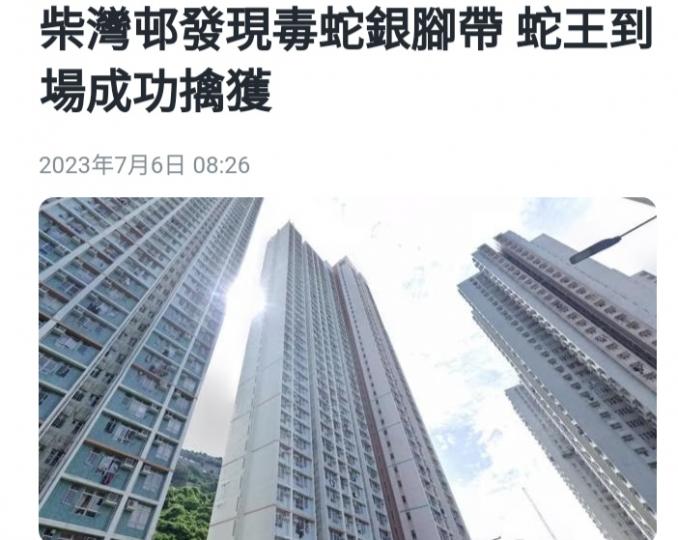 蛇王成功擒捉
毒蛇。...