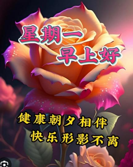 星期一，
早上好，
祝願朋友
健康快樂。...