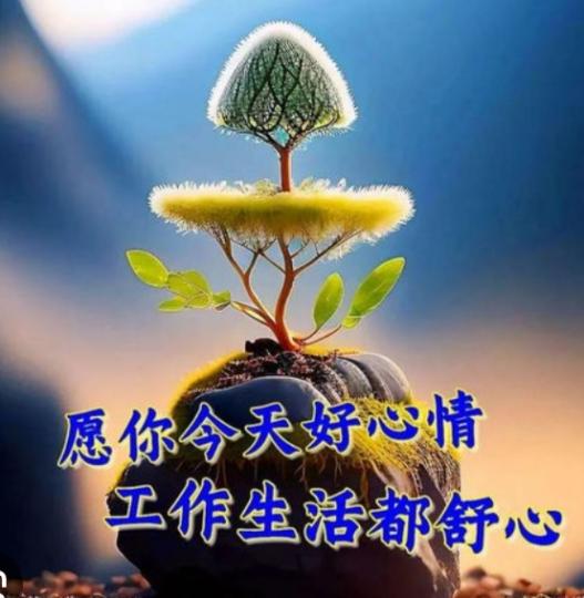 每天好心情,
朋友們午安！...