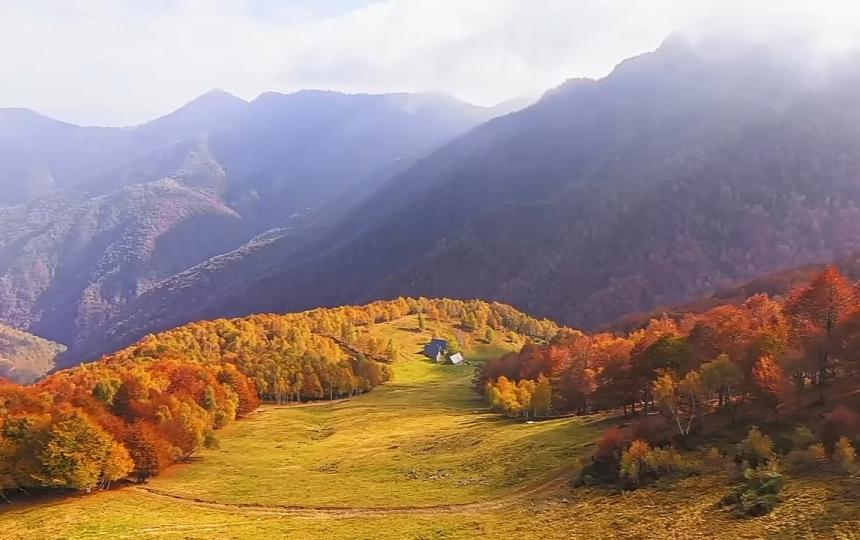朋友們早，
山谷清新的空氣
迎來每天美好！...