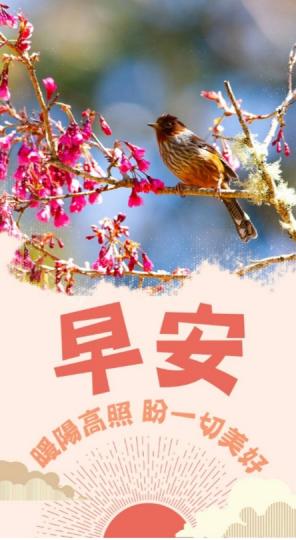 暖陽高照，
帶來美好！
朋友們早！...