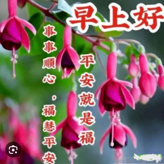 送上平安，
祝福，
朋友們早！...