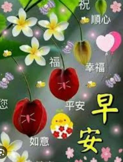 祝願幸福，
平安，如意！
朋友們早！...