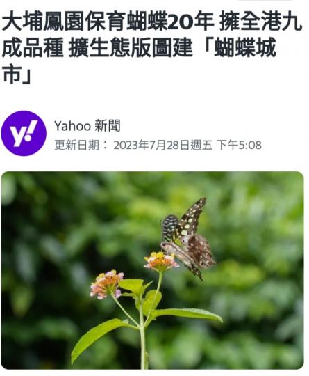 大埔鳳園保育
蝴蝶20年。...