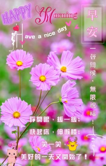 周末愉快,
朋友們好！...
