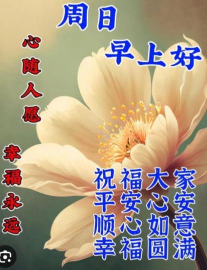 周日早,
祝福大家
順意安康！...