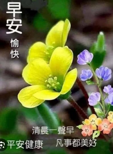 展開美好新
一天，朋友們早！...