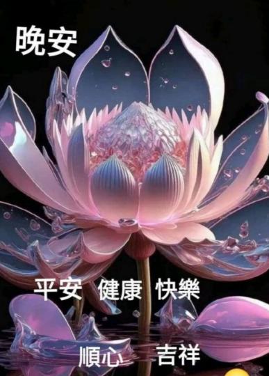 朋友晚安，
順心好眠！...