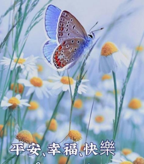 朋友們午安，
輕鬆愉快！...