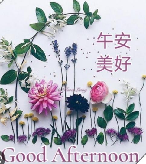 朋友們午安，
享受美好！...