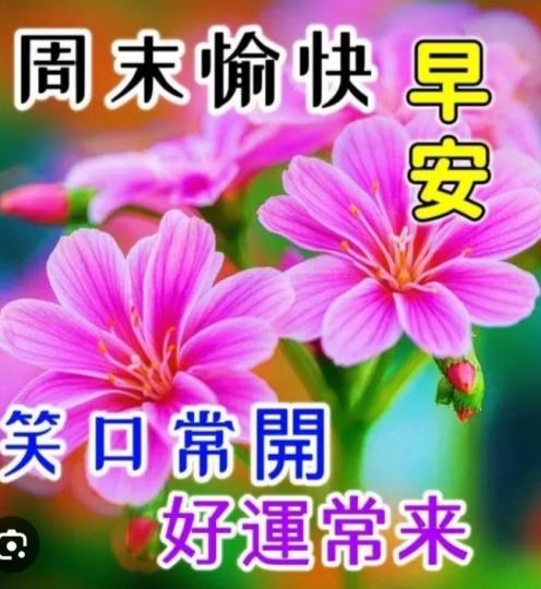 周末愉快,
笑口常開！
朋友們早！...
