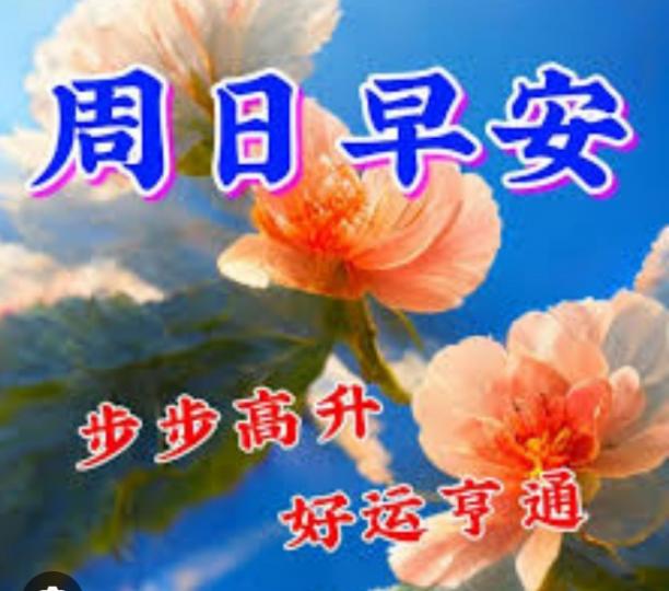 好運齊來,
朋友們早！...