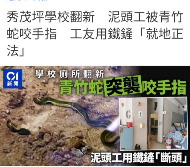 秀茂坪學校翻新，　
泥頭工被青竹蛇咬手指。

原文...