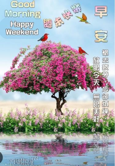 周末愉快，
無限美好！...