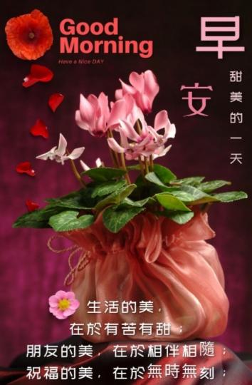 朋友們早，
祝願美好的一天。...