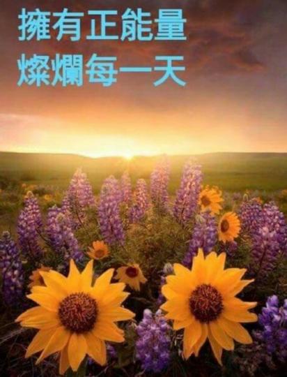 擁抱每一天，
朋友們午安！...