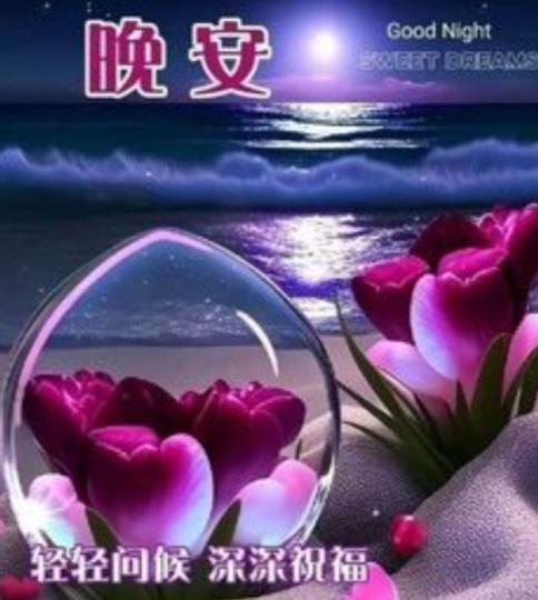朋友們晚安，
舒心好眠！...