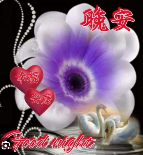 愉快美滿，
朋友晚安！...