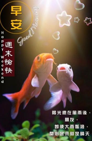 開開心心
迎周末，
朋友們好！...