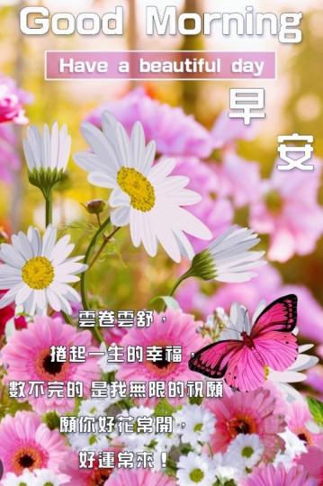 好花常開，
福氣來！
朋友早！...