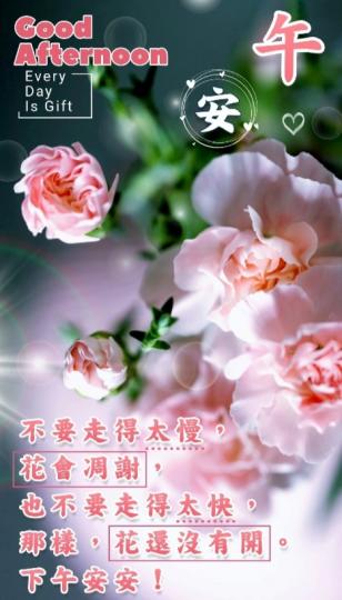 生活悠閒自在，
朋友午安！...