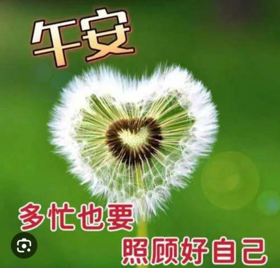 喜樂自在，
朋友午安！...