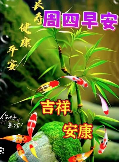 周四早，
祝願健康愉快！...