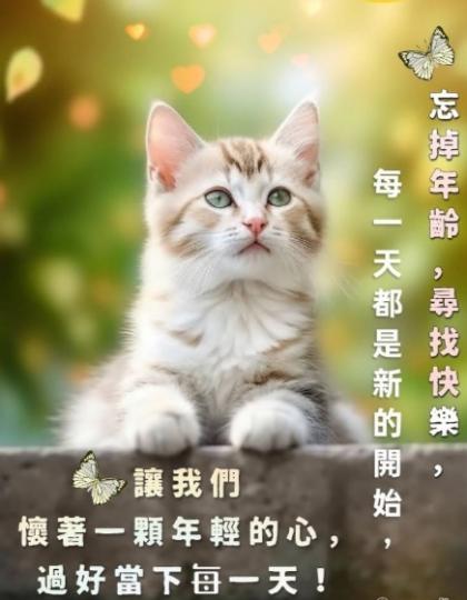 懷着年輕的心，
過好每一天！
午安！...