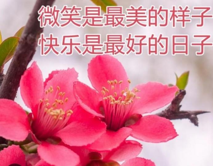 微笑的人很美，
祝大家快樂！...