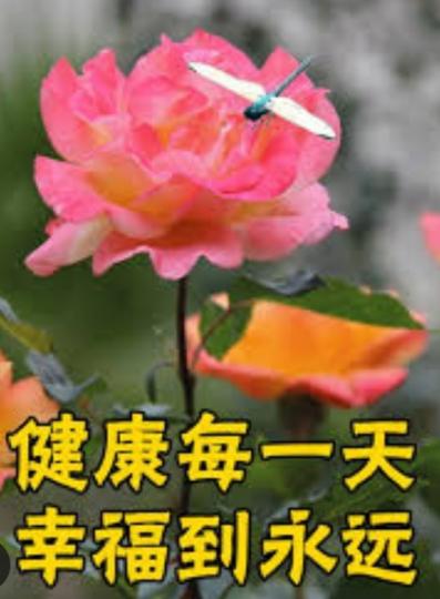 祝願大家
健康愉快！...