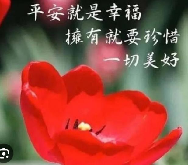 珍惜，擁有，
一切美好！...