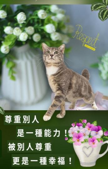 能彼此互
相尊重，基
本的禮貌！...