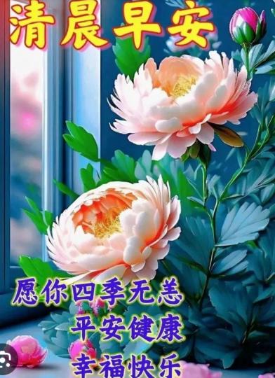 祝願朋友
們健康快樂！...
