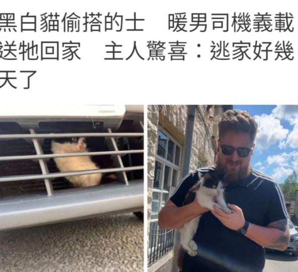 黑白貓偷搭的士　
暖男司機義載送牠回家...