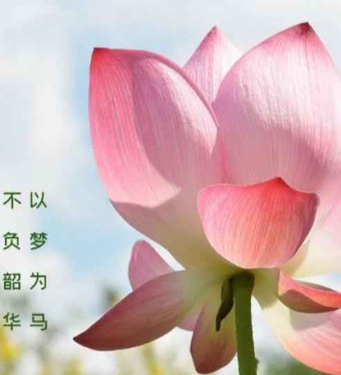 以梦為馬，
不負韶華！...