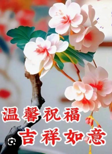 吉祥如意，
朋友午安！...