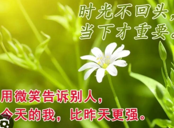 時光不回頭，
當下才重要！
朋友們好！...