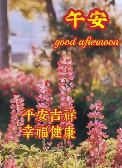 幸福吉祥，
朋友午安！...