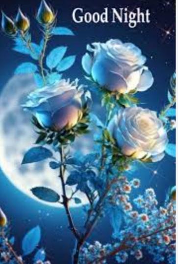 祝願平靜夜晚，
好夢甜蜜！...