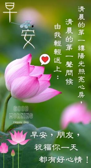 祝願朋友們
整天好運氣！...