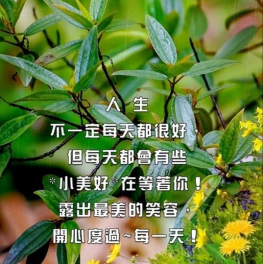 開心度過每一天，
朋友們好！...